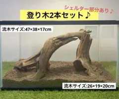 Item thumbnail for item 50b589e4-3f61-4267-a330-1d60c3b9063a