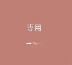 専用