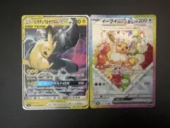 ピカチュウ&ゼクロムGX RR イーブイex sarのサムネイル