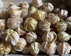 2025年最新】食用ほおずきの人気アイテム - メルカリ