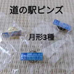 2025年最新】道の駅 ピンズ ゴールドの人気アイテム - メルカリ