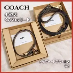 COACH小型犬首輪リードセットS箱付シグネチャー柄型番F26175/76美品