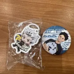 木兎光太郎　くら寿司　めじるしチャーム　ハイキュー