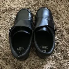 Item thumbnail for item 682e7751-f817-486d-89cc-ebf37b29f9d2