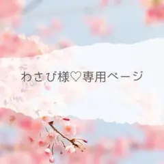 インド刺繍リボン♡わさび様専用ページ（追加分）