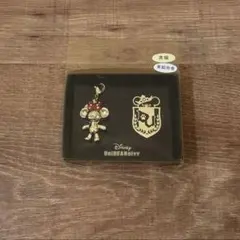 UniBEARsity ディズニー ユニベア シティ オリジナル 缶バッジ - メルカリ