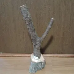 Item thumbnail for item 8afd1d8e-aa38-4cbc-8099-886afc5b74ab