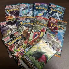 ポケモンカード　バラエティ　パック