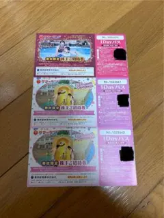 2025年最新】サンリオピューロランド 株主優待 3枚の人気