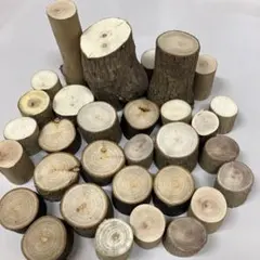 2025年最新】楠 丸太の人気アイテム - メルカリ