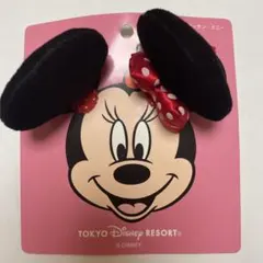 ディズニー ヘアピン パッチン・ミニー
