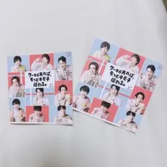 SnowMan FUJIYA 不二家　フライヤー2枚