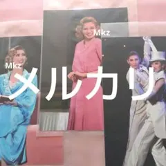 雑誌 Mgirl 2008-09AW 蜷川実花 長澤まさみ 松田翔太 三浦春馬 - メルカリ