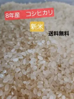 令和7年産 訳あり米(白米・中米・割れ米)24㎏ ☆数量限定残りわずか