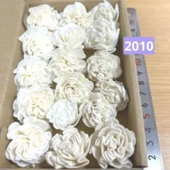 ソラフラワー　2010