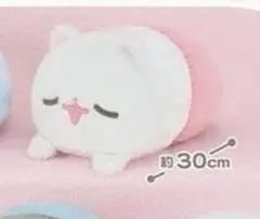 2026年最新】ポメラニアンもちBIGぬいぐるみの人気アイテム - メルカリ