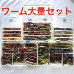 2025年最新】ワーム 大量の人気アイテム - メルカリ
