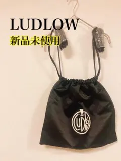 2026年最新】Ludlow ポーチの人気アイテム - メルカリ