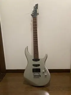 FERNANDES エレキギター シルバー