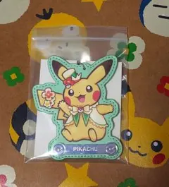 ポケパーク カントー ネーム入り 限定キーホルダー ピカチュウ