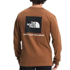 ノースフェイス ブラウン★S ロンT ボックス ロゴ BOX NSE TEE