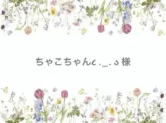 専用出品です　【10〜18】
