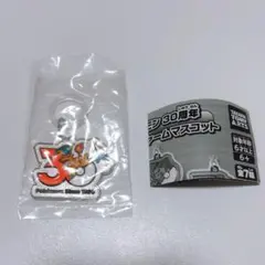 ポケモン 30周年 メタルチャームマスコット　リザードン