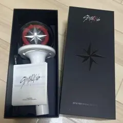 【箱付き】スキズ ペンライト ver2