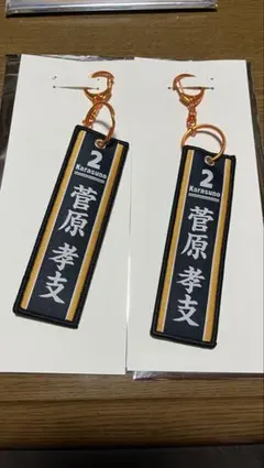 ハイキュー　菅原孝支　フライトタグ　タイトーくじ 2点
