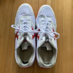 Item thumbnail for item 7b181593-085f-40a0-9183-34571887addb