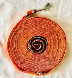 Item thumbnail for item 08264df4-e682-49c5-9667-b69650276d91