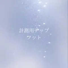 【計測用チップ】フット