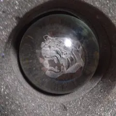 2026年最新】クリスタルタイガースの人気アイテム - メルカリ