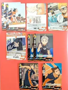 ハイキュー!!　バボカ　ゴミ捨て場の決戦　烏野　西谷　月島　菅原　東峰　烏養