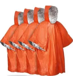 Item thumbnail for item b80462ac-347d-4185-8d29-8353f735c991