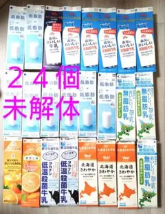 牛乳パック　24本　紙パック　未解体　折りたたみ　工作　ハンドメイド　複数銘柄