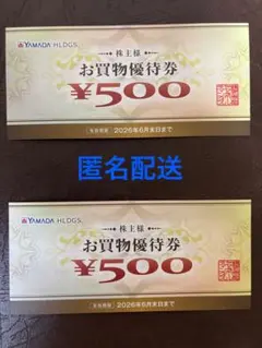 ヤマダ電機　¥500- お買物優待券 2枚