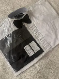 Item thumbnail for item 89b5dae7-cc33-48c8-8e2c-0435e6322c47