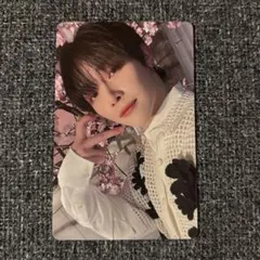 ニコラス タレントカード