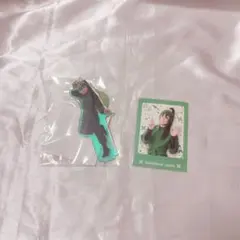 忍たま乱太郎 ミュージカル 15弾 学園祭 立花仙蔵 アクキー ぱしゃこれ