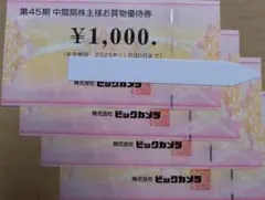 ビックカメラ株主優待券４０００円分