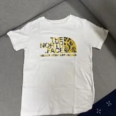 THE NORTH FACE サボテン柄 Tシャツ 140cm