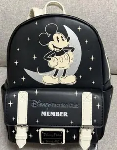 DCLディズニークルーズアドベンチャー限定品 ラウンジフライ エコバッグ付き DCLディズニークルーズアドベンチャー限定品 ラウンジフライ エコ
