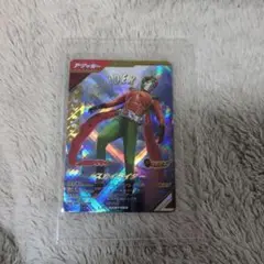 【新品未使用】スカイライダー LR