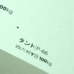 탄토 P-66 연속 중량 100 킬로그램 A4 표준 50 매