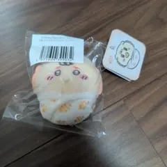 치이카와 Baby E賞 시사