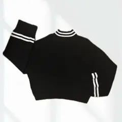 ENVYM春服　ハイネックニット