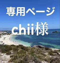 chii様専用　misha&puff 毛糸2かせ