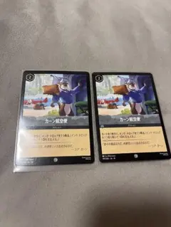 ディズニーロルカナ カーン航空便 2枚セット