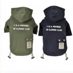 Item thumbnail for item 887a8733-83cf-4391-94c6-f427d553242e